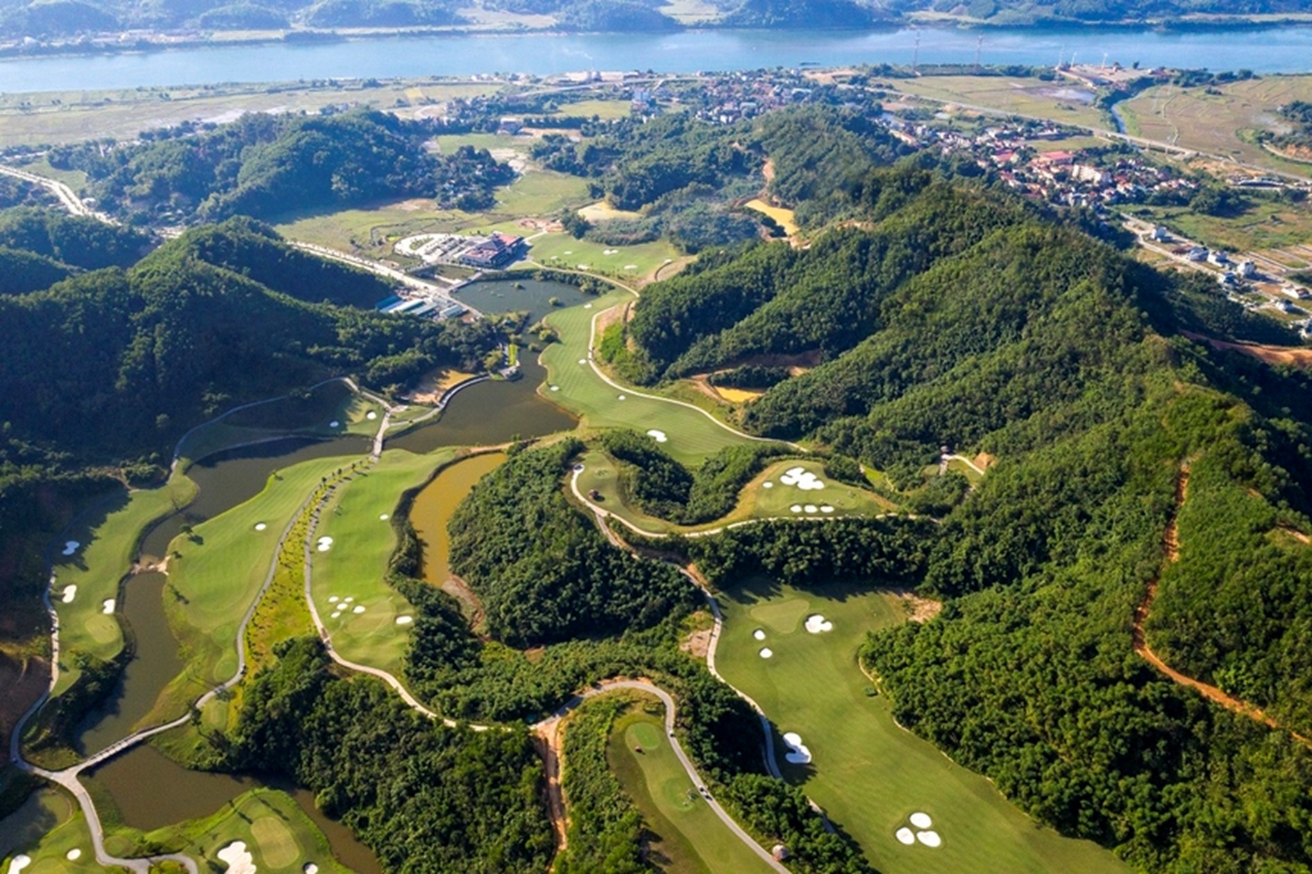 picture53.jpg