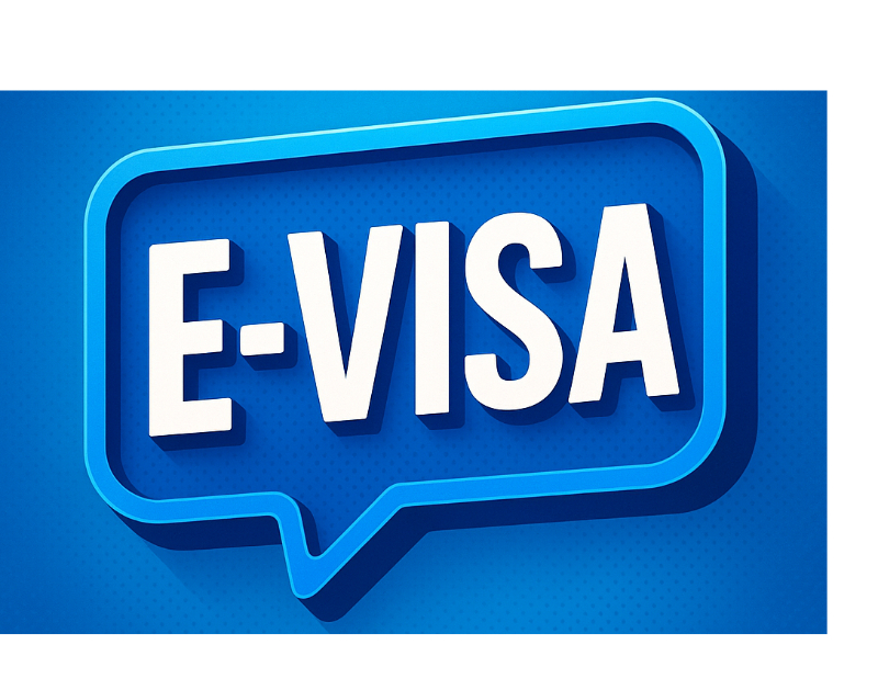 E-visa consulting services