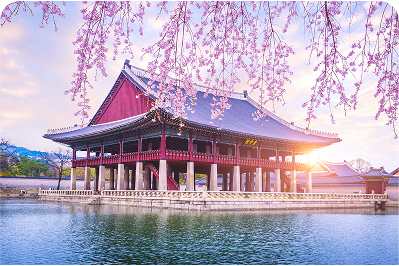 Tokyo US